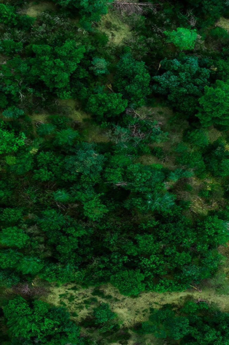 אופרן השכרת רכב בחו"ל - Ofran worldwide car rental